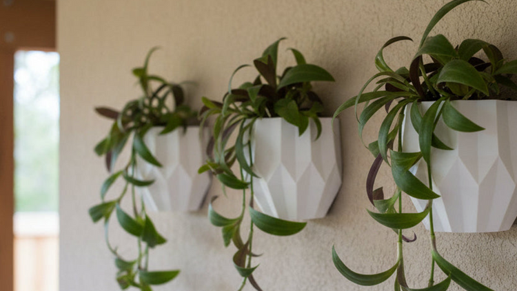 Wall Planters