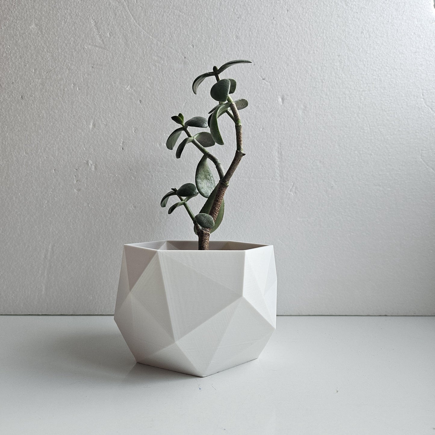 Rosemary Indoor Planter: Geometric Design
