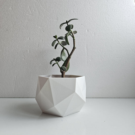 Rosemary Indoor Planter: Geometric Design
