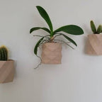 Plymouth Wall Planter Set