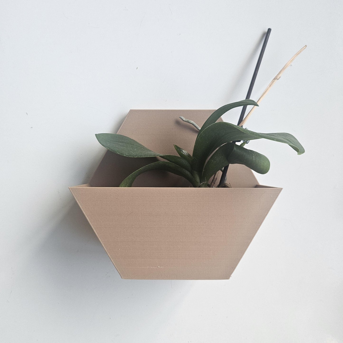 Sahara Wall Planters