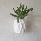 Diamond Wall Mounted Planter