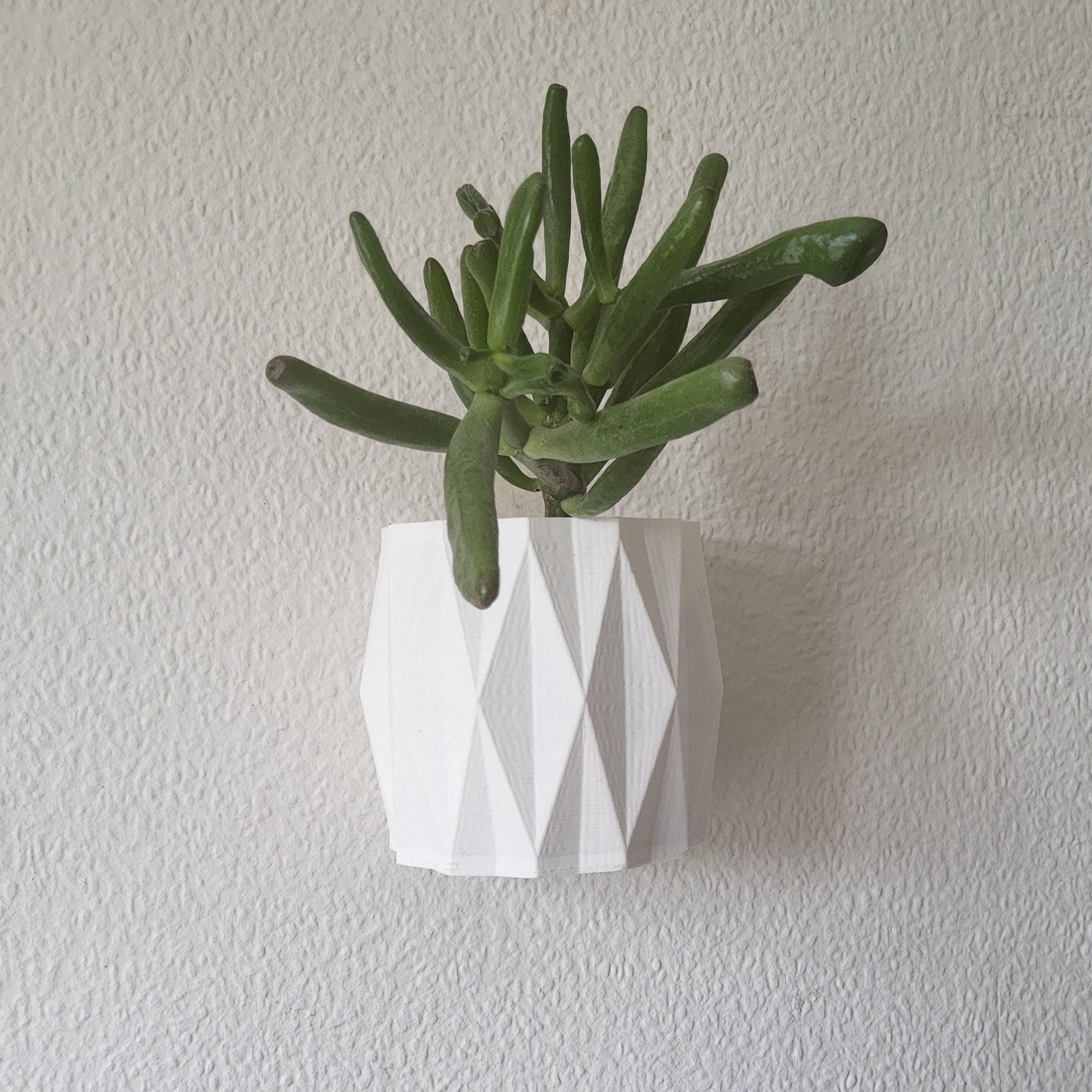 Diamond Wall Mounted Planter