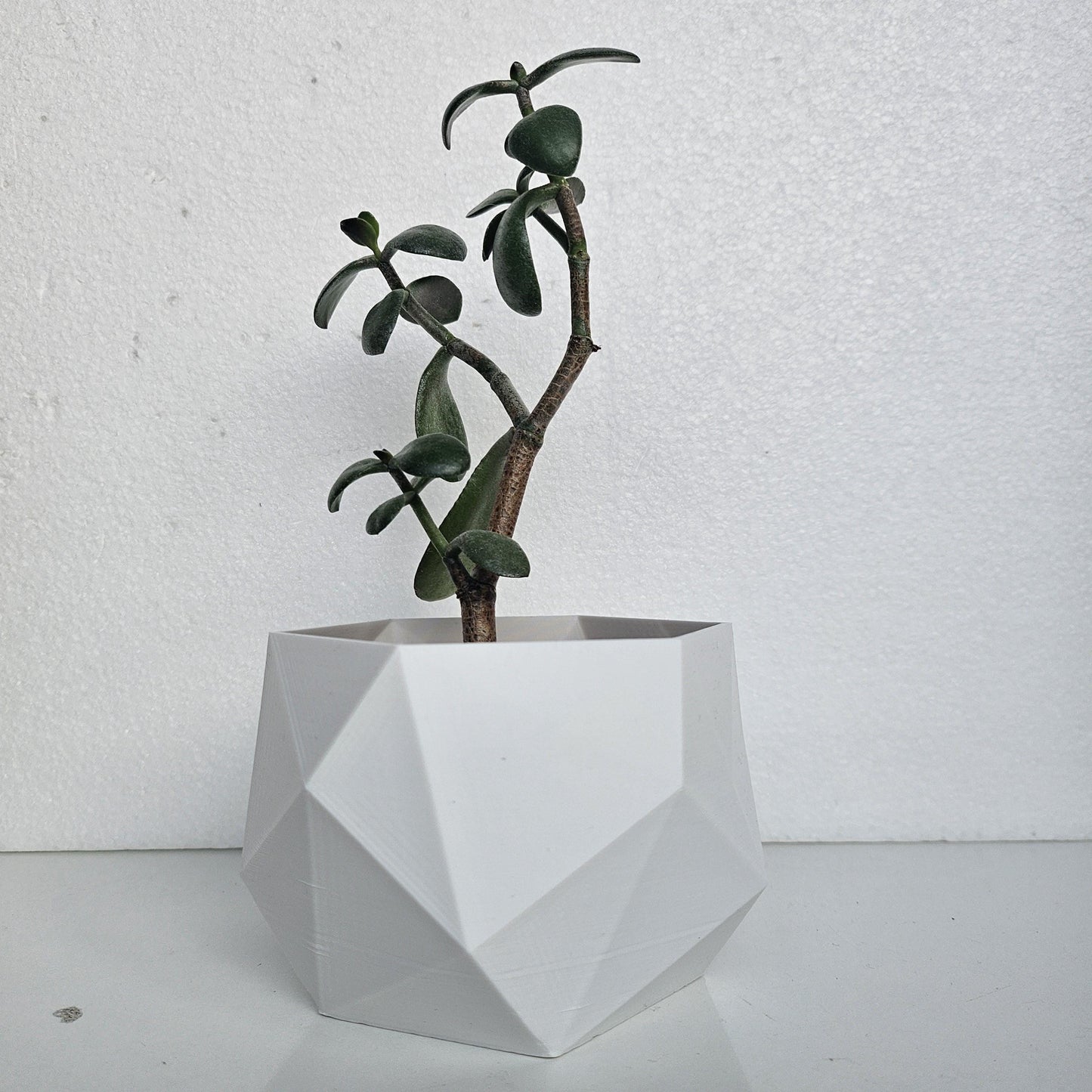 Rosemary Indoor Planter: Geometric Design