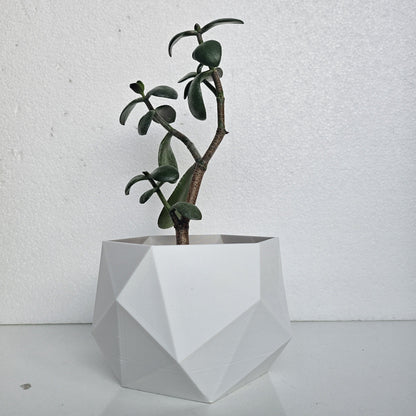 Rosemary Indoor Planter: Geometric Design