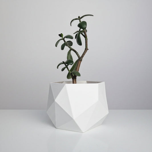 Geometric white planter with a green plant on a light gray background