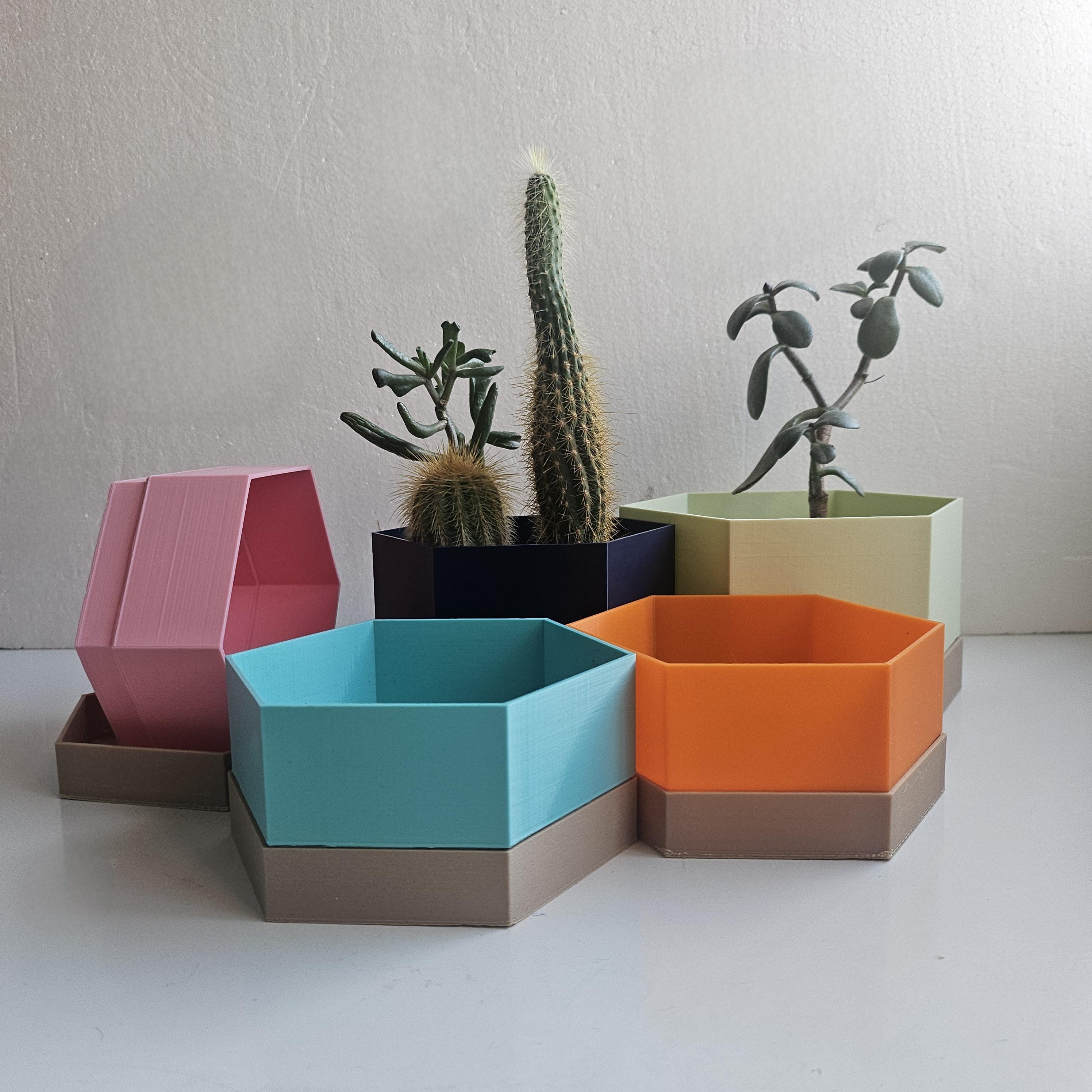 Alaska Honeycomb Planters