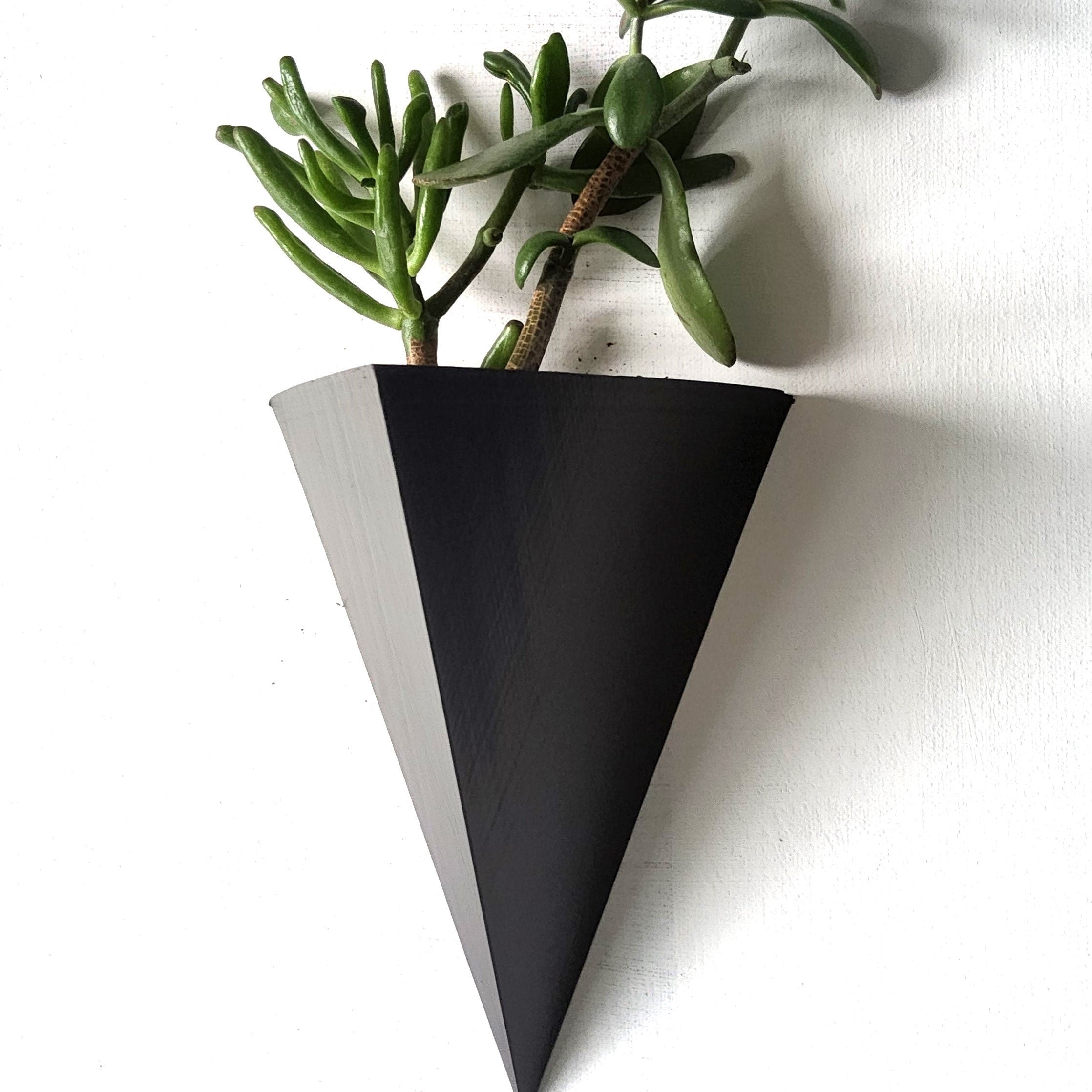 Sion Wall Planter