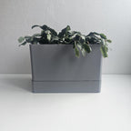 Stockholm Indoor Planter