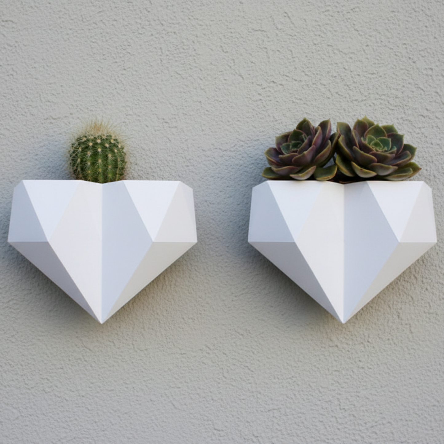 Two geometric white wall planters with succulents on a gray wall.