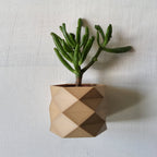 Carmen Wall Mounted Plant Pot