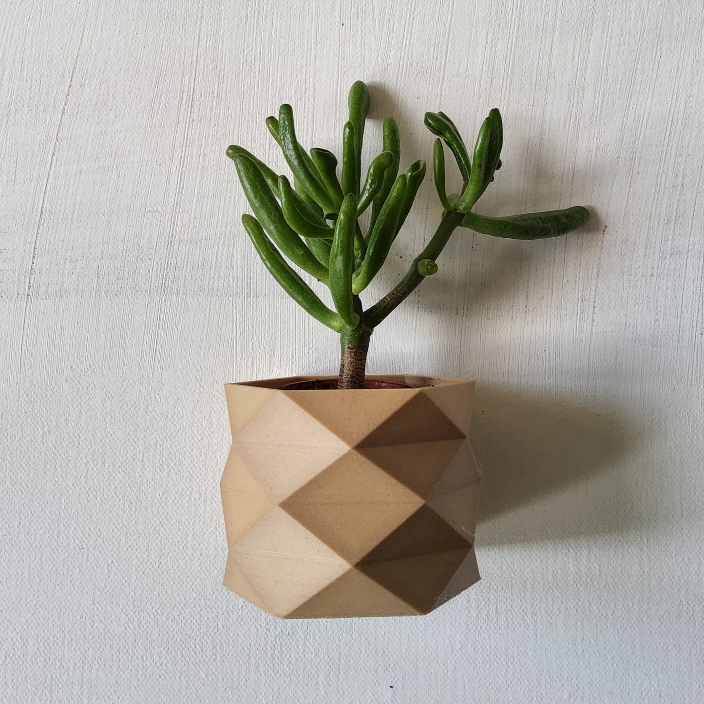 Carmen Wall Mounted Plant Pot