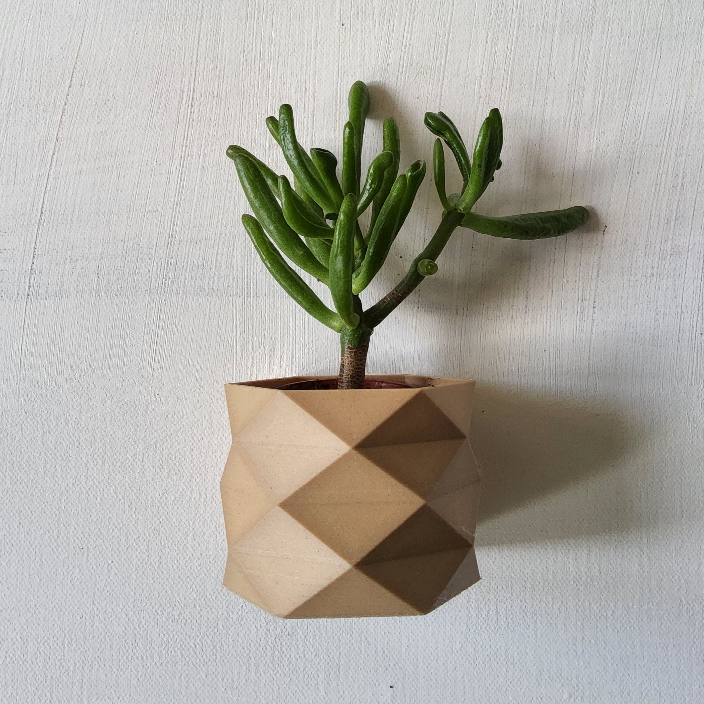Carmen Wall Mounted Plant Pot
