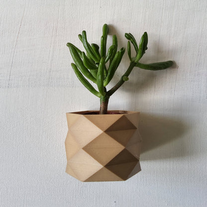 Carmen Wall Mounted Plant Pot