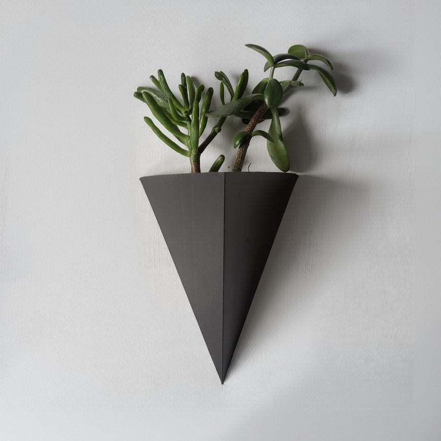 Triangular black wall planter with a succulent on a light gray background