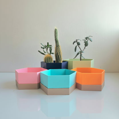 Hexagonal planters in various colors with plants on a light background
