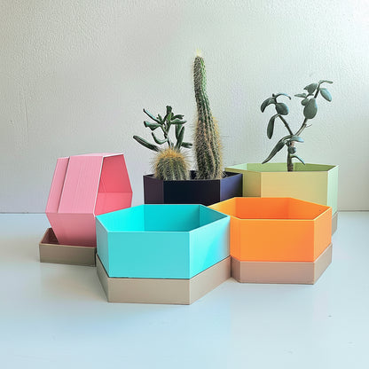 Colorful geometric planters with plants on a white surface