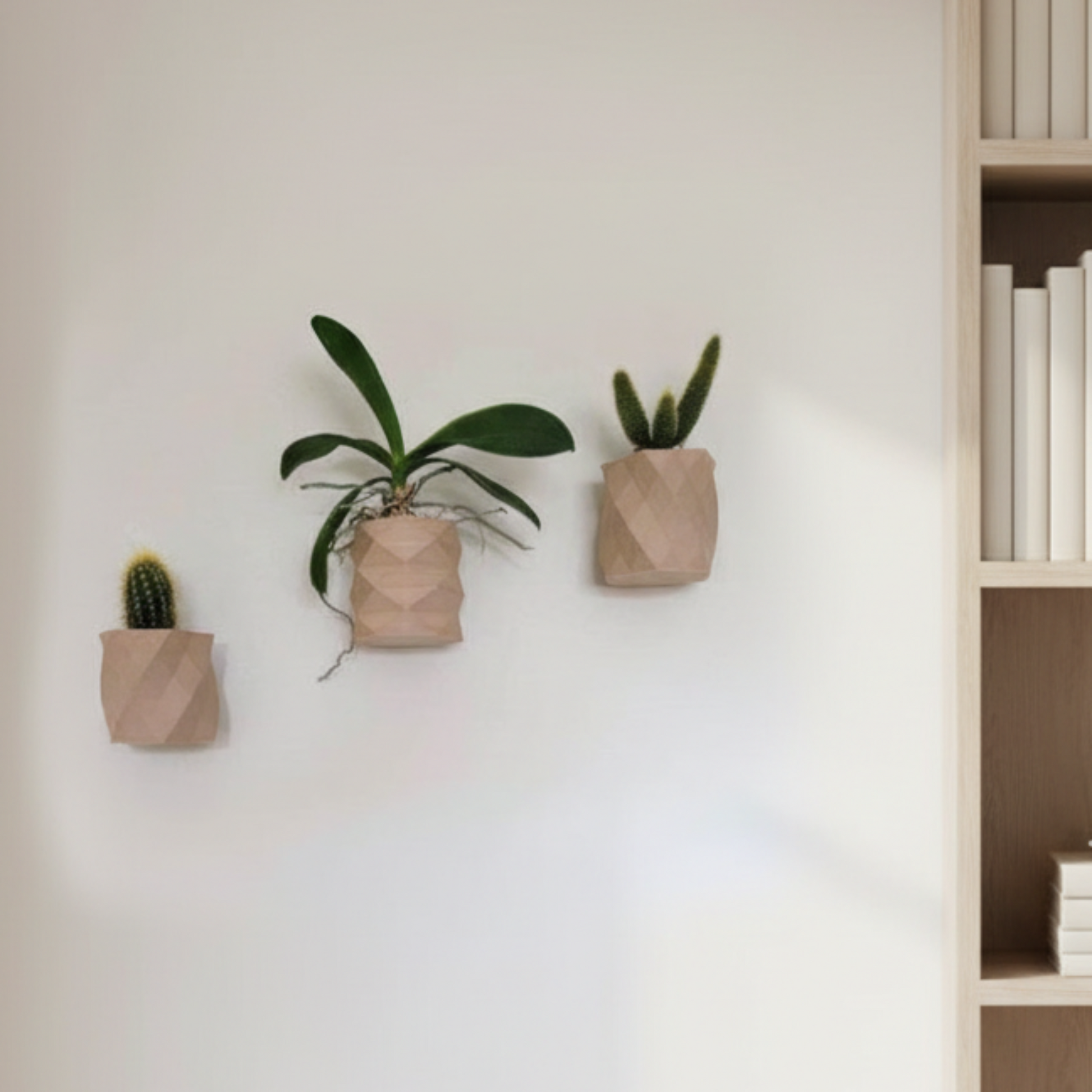 wall mounted planters on a white wall near a bookshelf