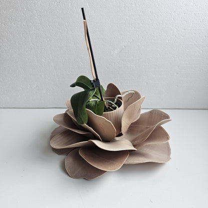 Camelia Indoor Planter