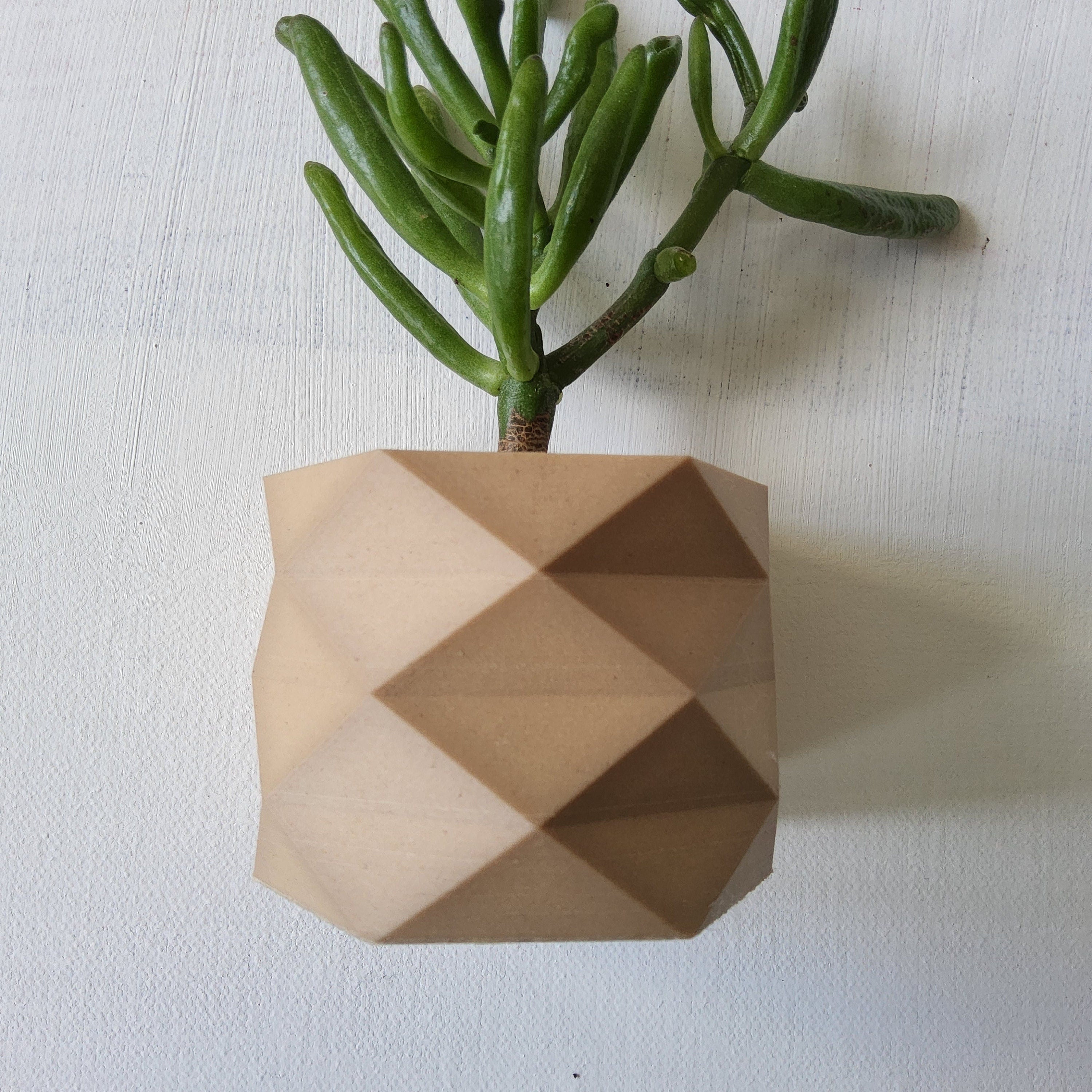 Carmen Wall Mounted Plant Pot