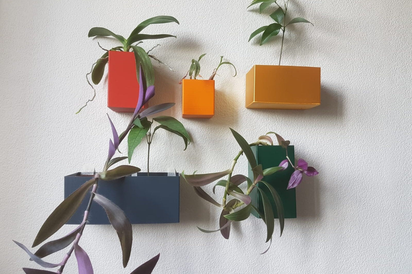 Cannes Wall Planter Set: Modern Eco-Friendly Wall Planters