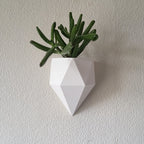 Sierra Wall Planter
