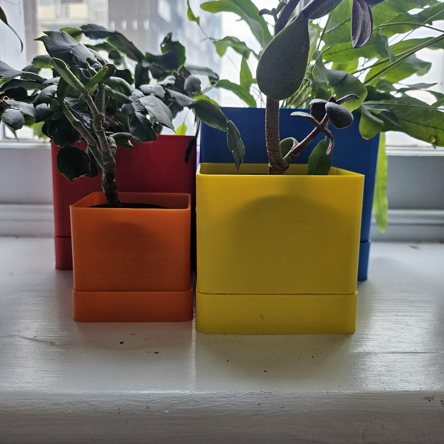 Limoges Indoor Planters