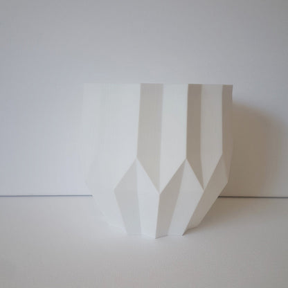 Arizona Wall Planter