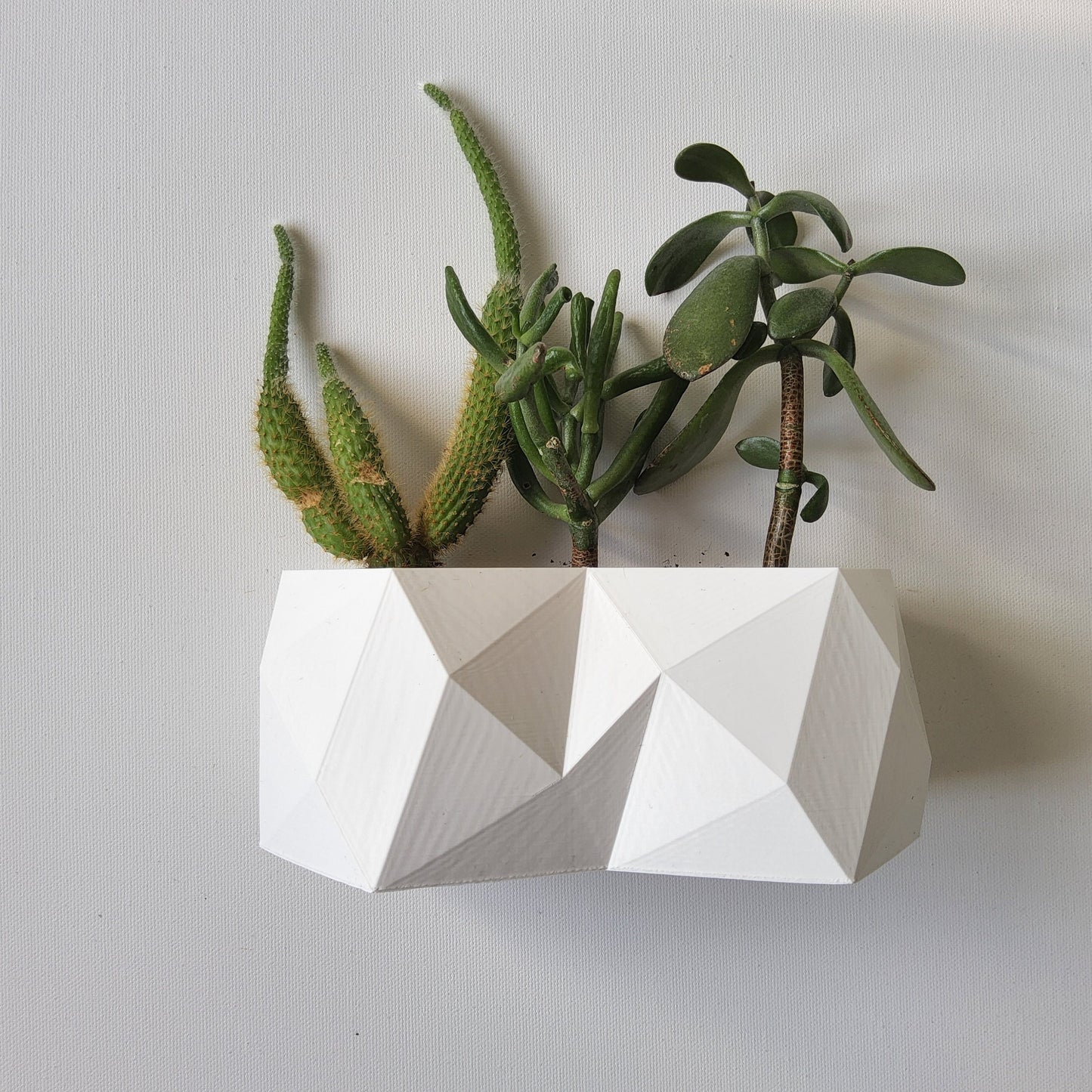 The Dover Wall Planter: Modern Design
