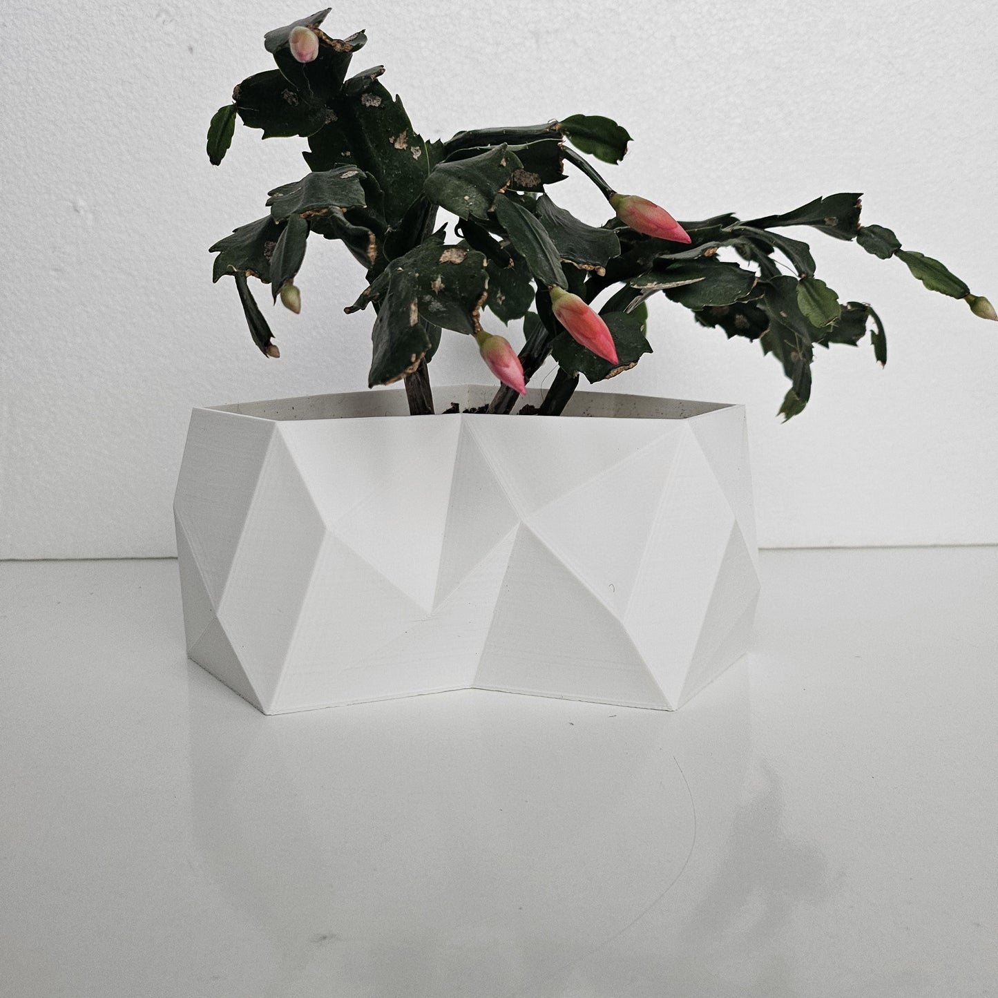 The Rio Corner Wall Planter