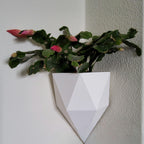 Como Corner Wall Planter
