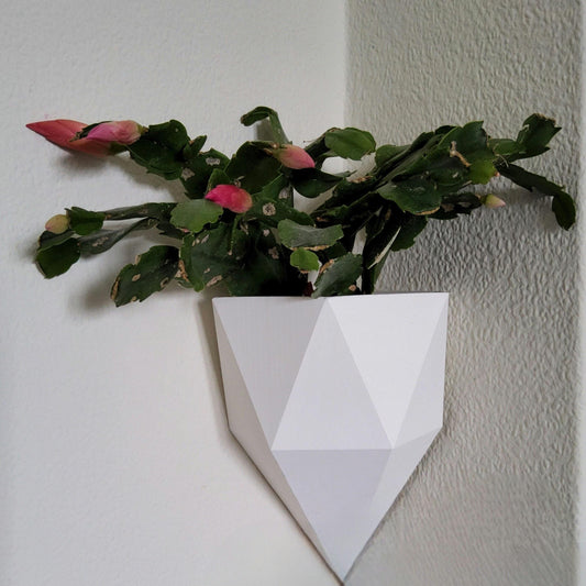 Como Corner Wall Planter