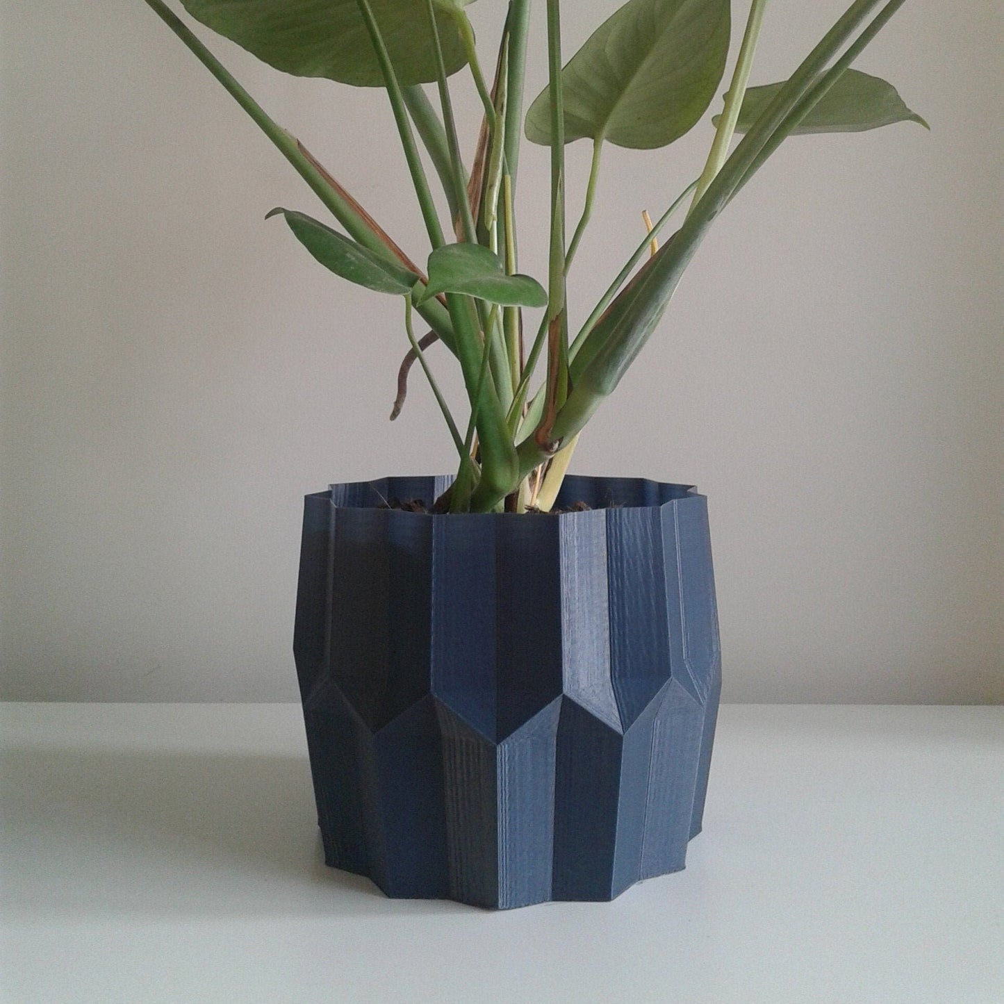 Tulip Indoor Planter