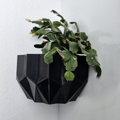 Geometric black wall planter with a green plant against a white background