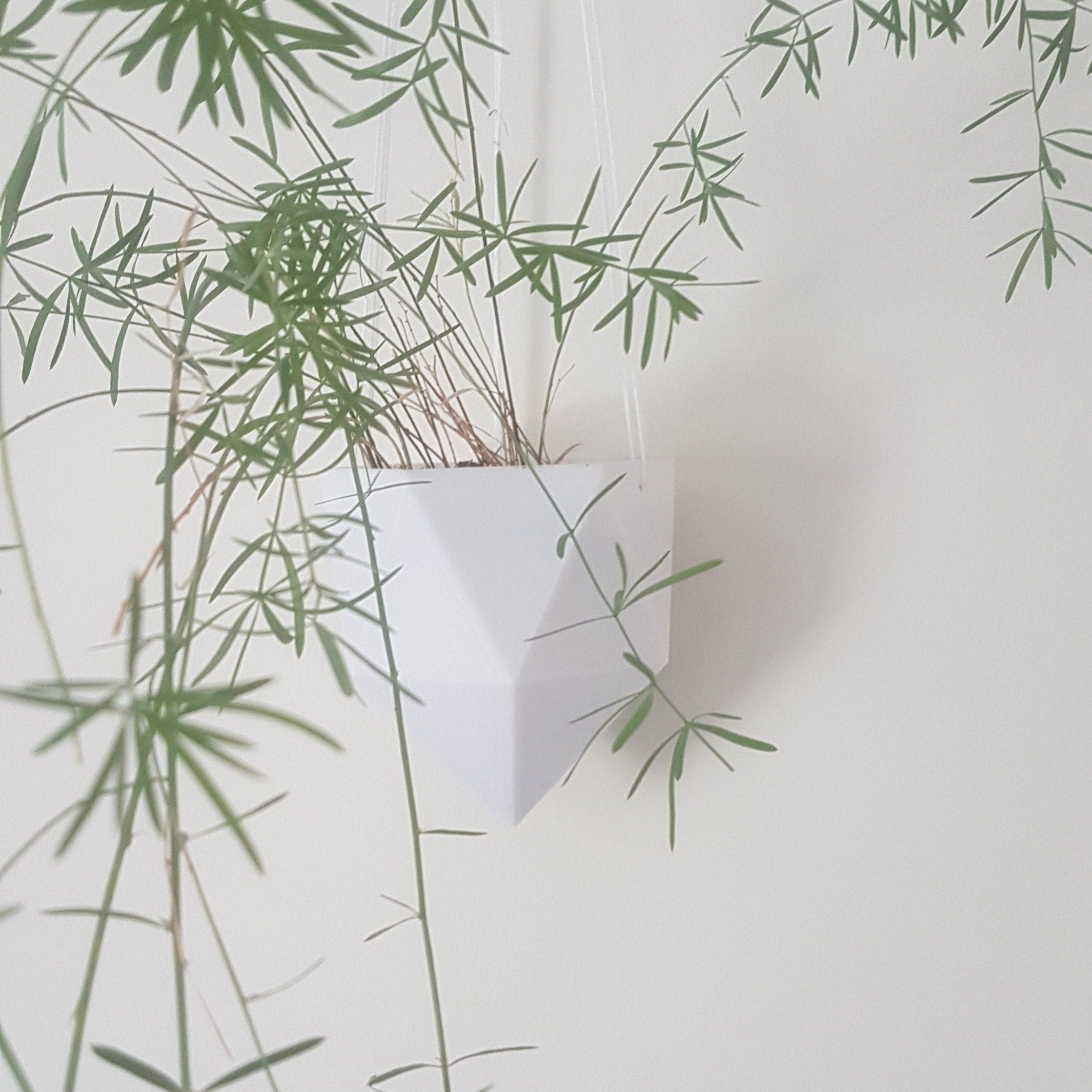 Rome Hanging Planter