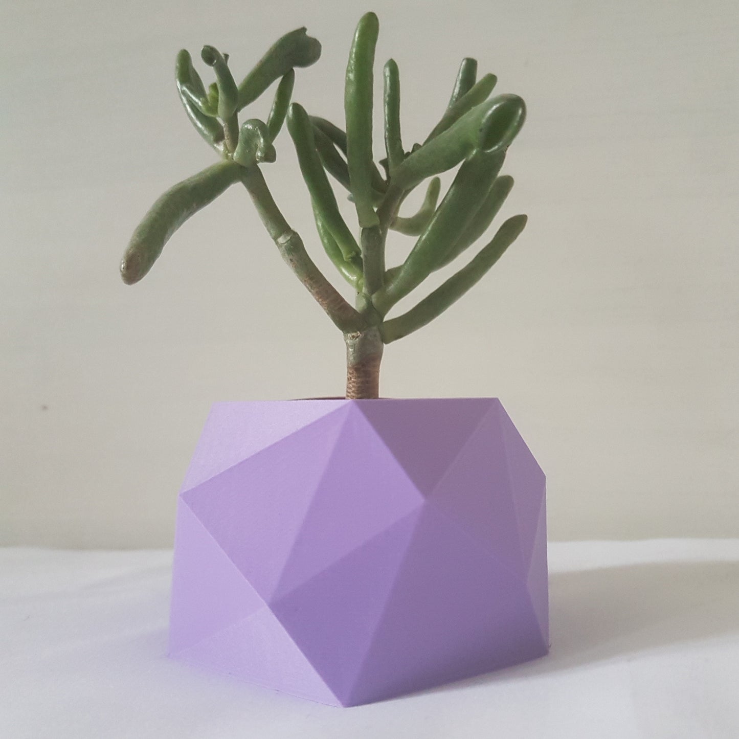 The Vanuatu Indoor Planter