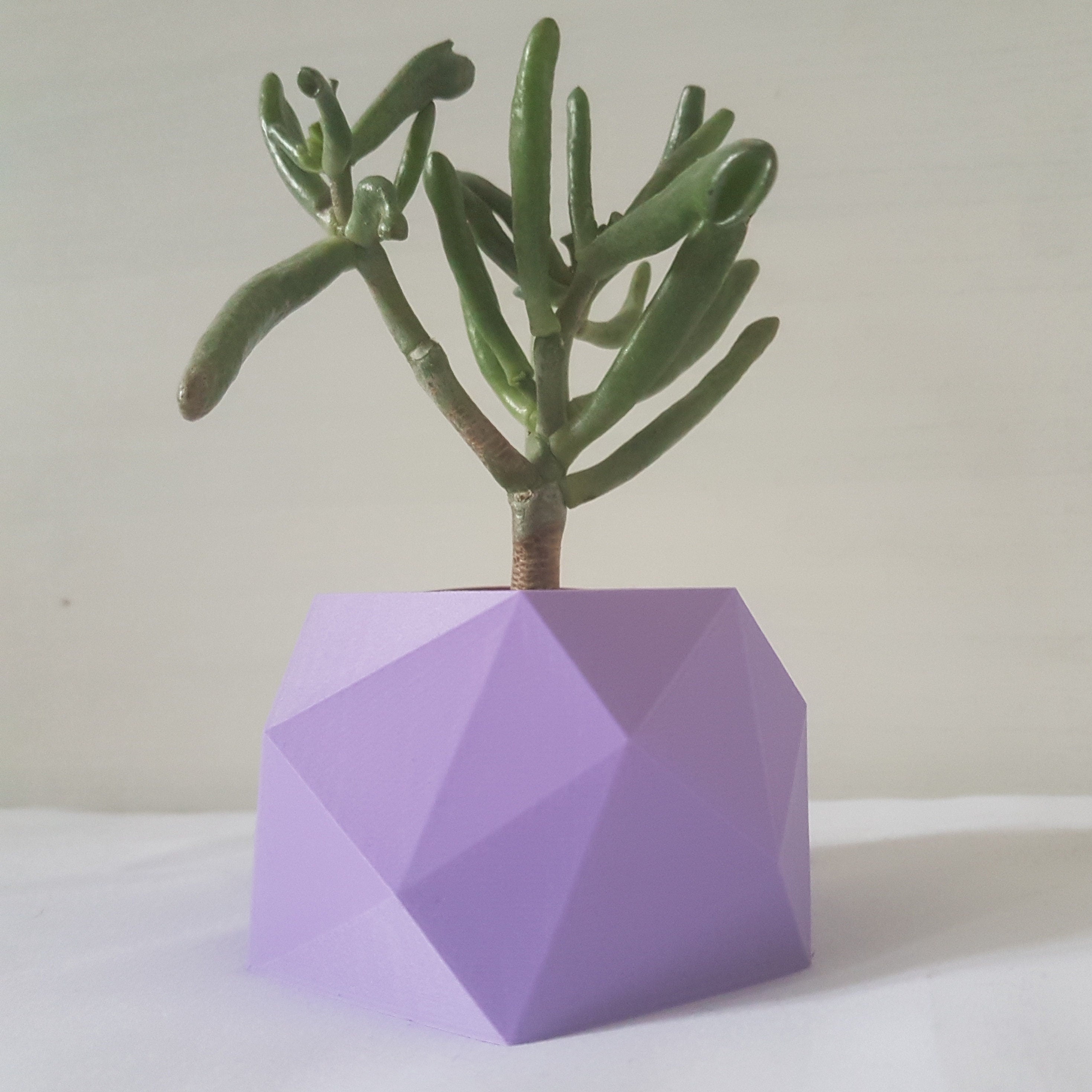 Vanuatu Indoor Planter