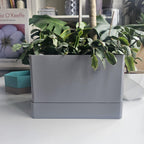 Stockholm Indoor Planter