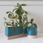 Flora Indoor Planter Set with Drip Tray