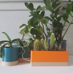 Flora Indoor Planter Set with Drip Tray