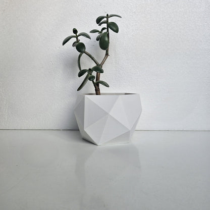 Rosemary Indoor Planter: Geometric Design