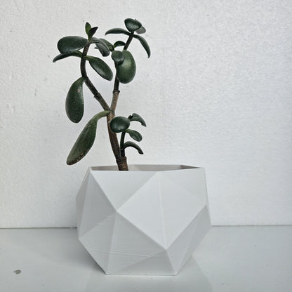 Rosemary Indoor Planter: Geometric Design