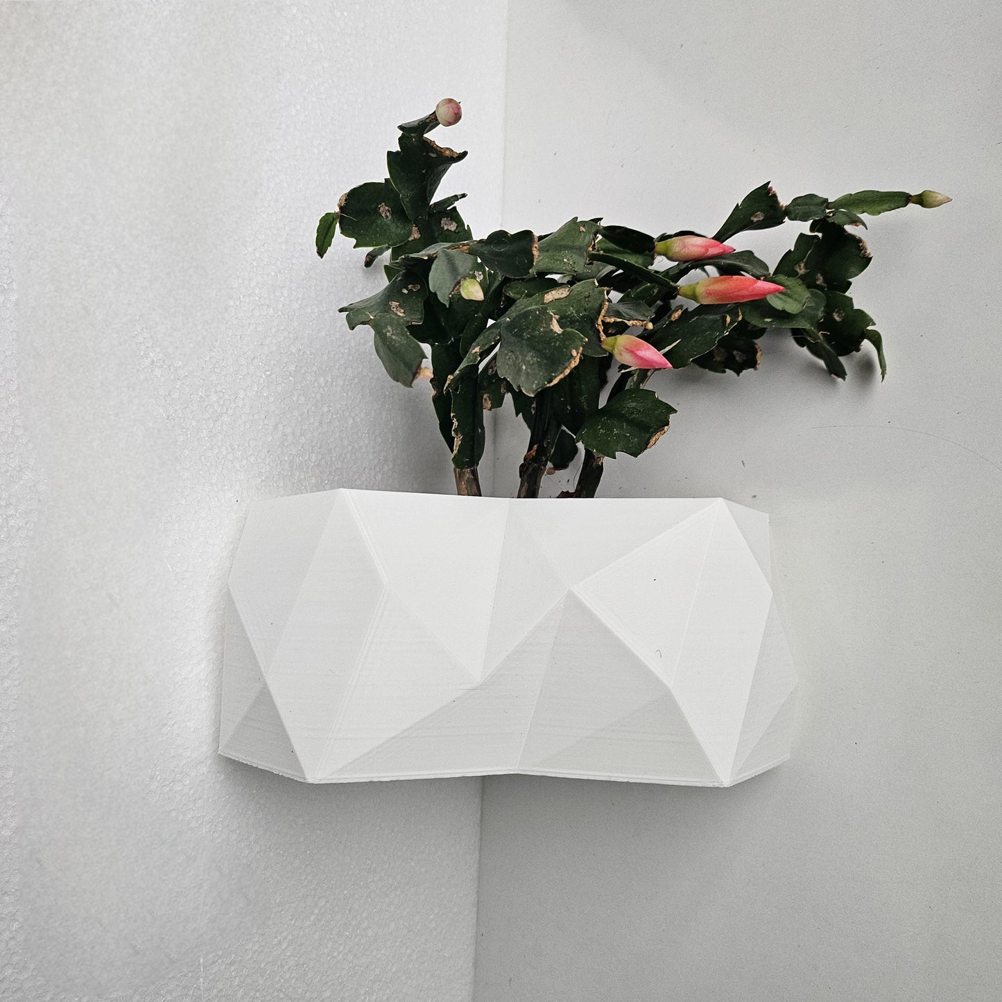 The Rio Corner Wall Planter