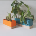 Flora Indoor Planter Set with Drip Tray