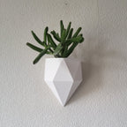 Sierra Wall Planter