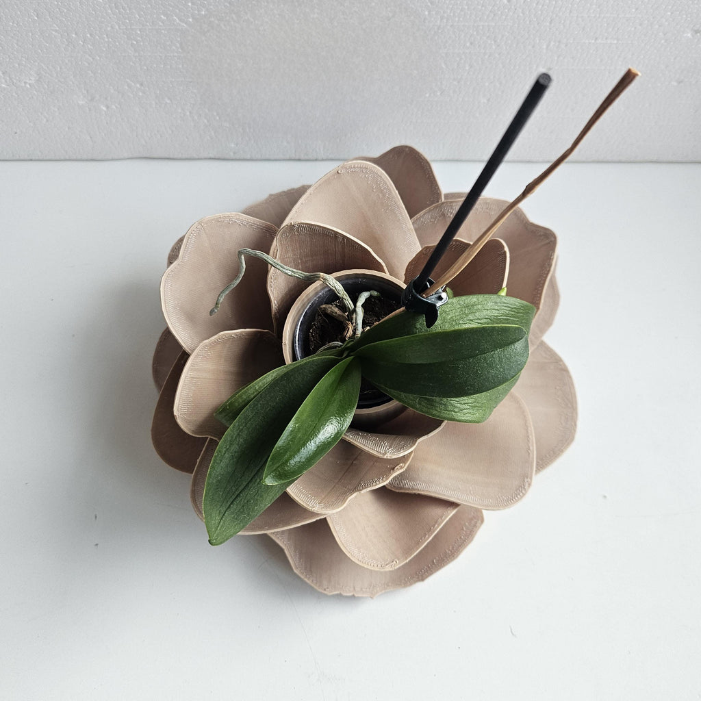 Camelia Indoor Planter