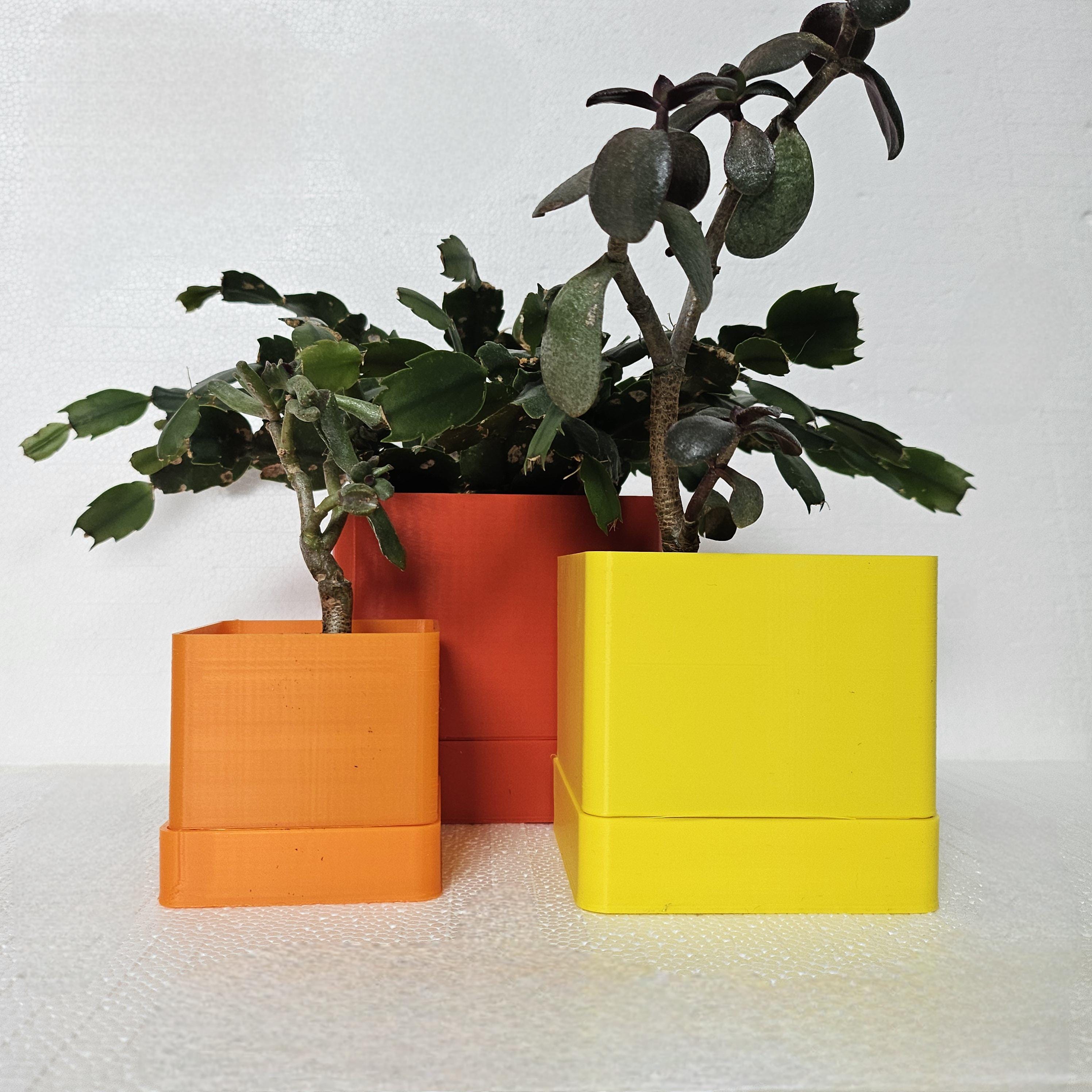 Limoges Indoor Planters