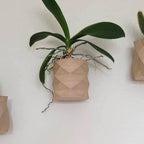 Plymouth Wall Planter Set