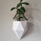 Sierra Wall Planter