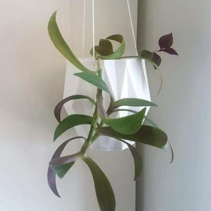 Berlin Hanging Planter